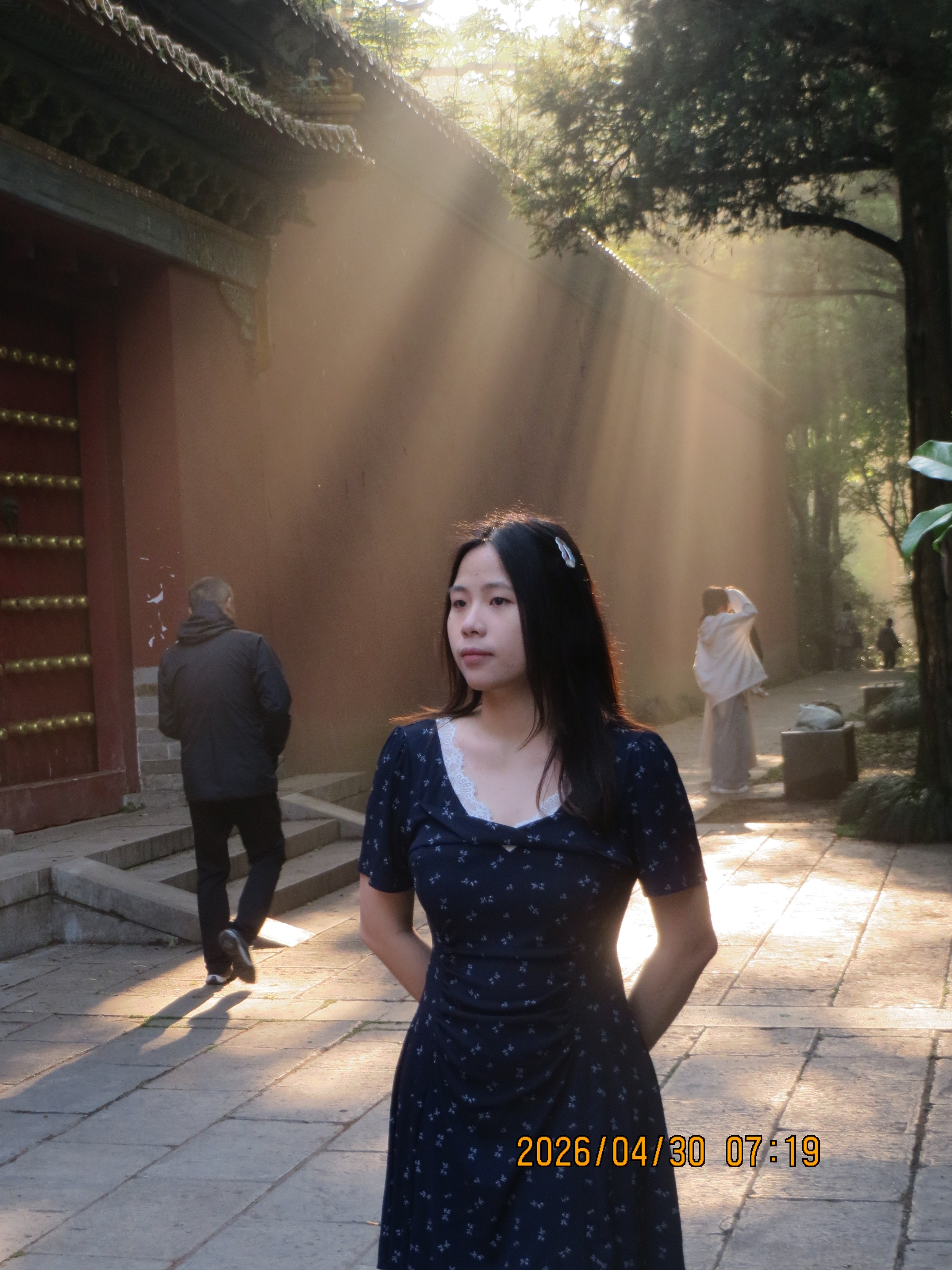 刘芷君